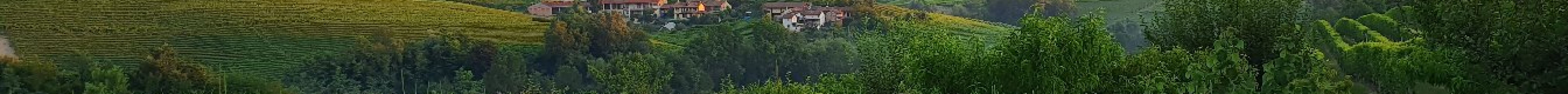 Stra Viticoltori con Foresteria