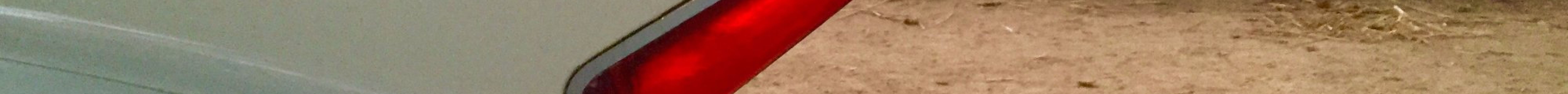 Shell Beach Surf Shop