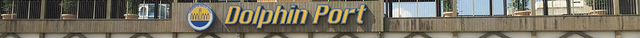 海豚港