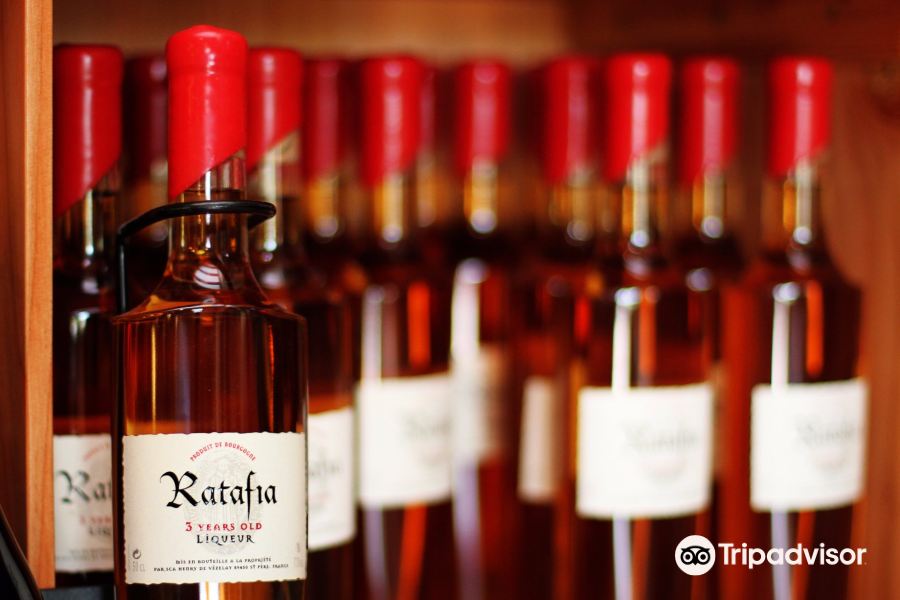 Vignerons de la Colline Eternelle