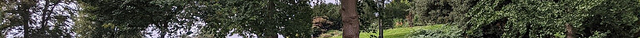 Brandon Hill Nature Park