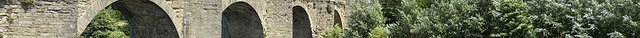 Le Pont Vieux (The Old Bridge)