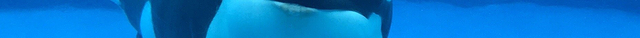 名古屋港水族馆