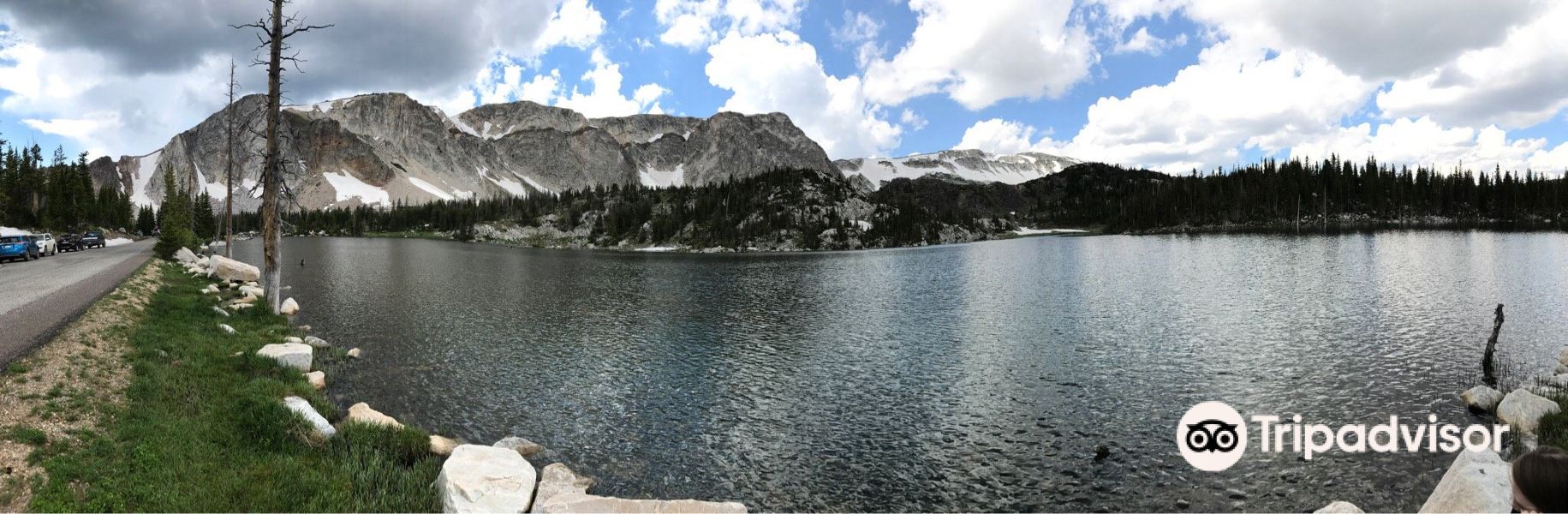 Medicine Bow National Forest旅游景点图片