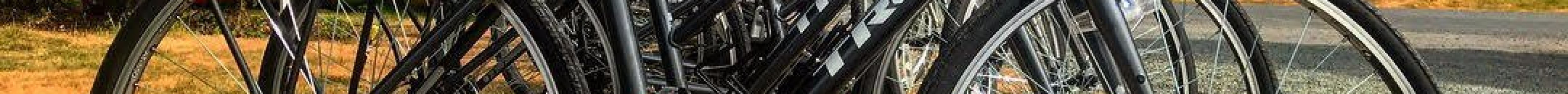 Edenwild Island Adventures