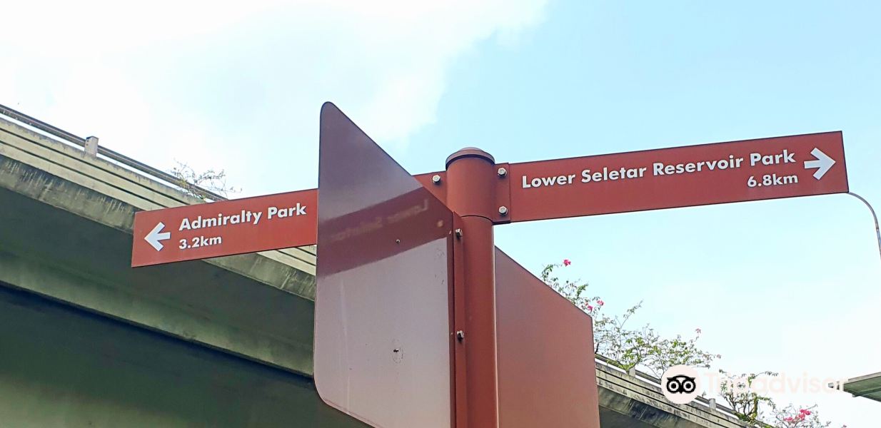 Ulu Sembawang Park Connector旅游景点图片