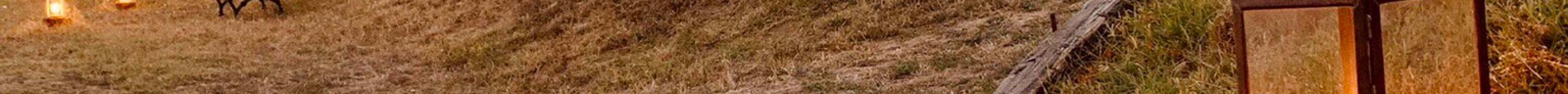 Azienda Agricola Molare's