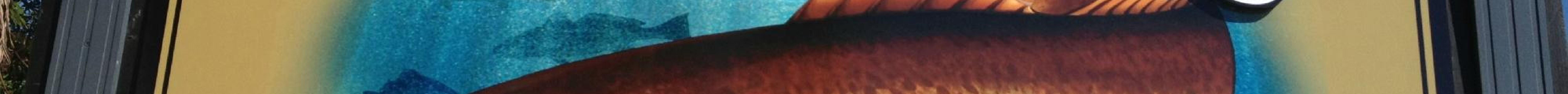 Whitney's Bait and Tackle