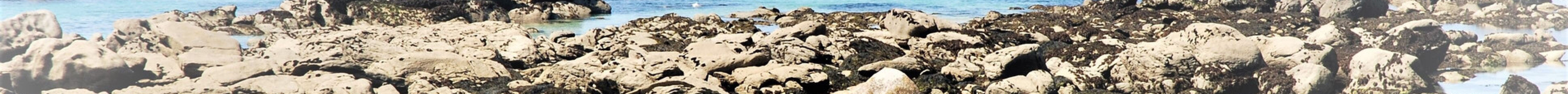 Beach Nodeven Rudoloc