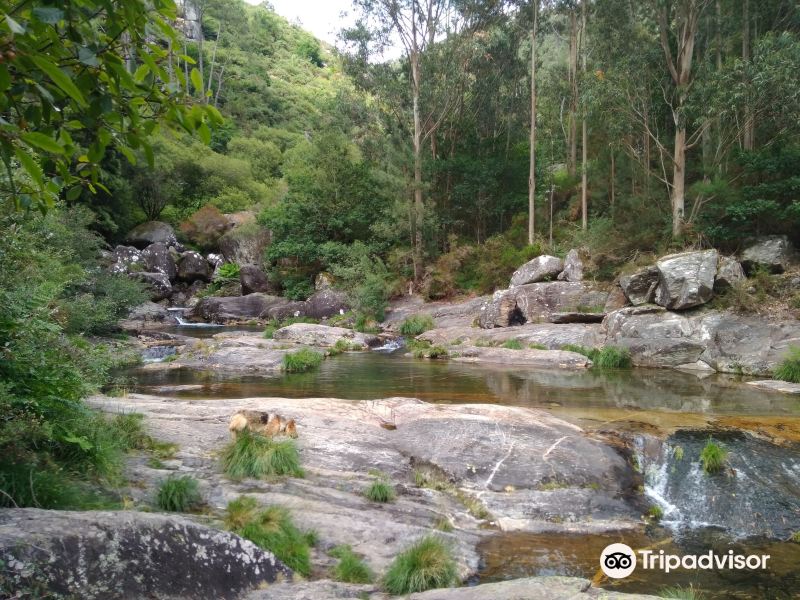 Piscinas naturales del Rio Pedras旅游景点图片