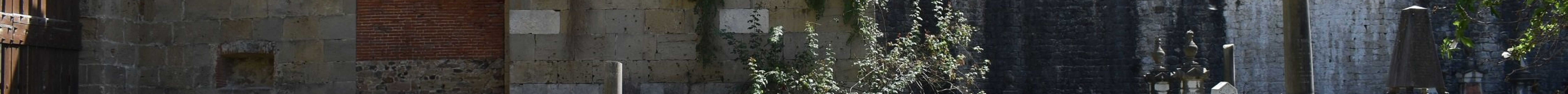 Cimitero Ebraico旅游景点图片