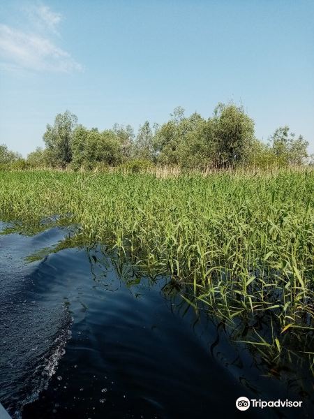 Nature Park Hutovo Blato旅游景点图片