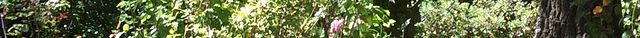 Markree House Museum and Garden