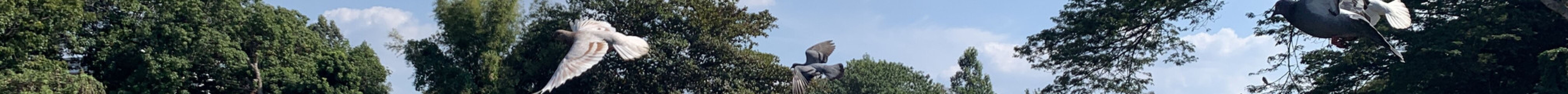 长空寺