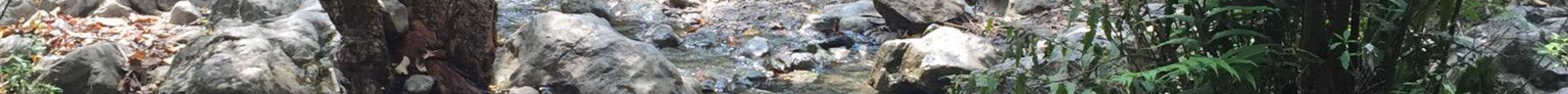 Trail 5旅游景点图片