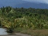 Baler Hanging Bridges