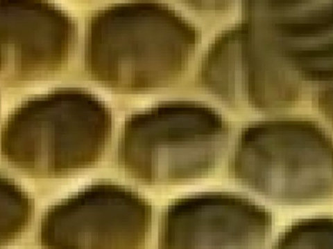 Honey House Honey Bee Farm的图片
