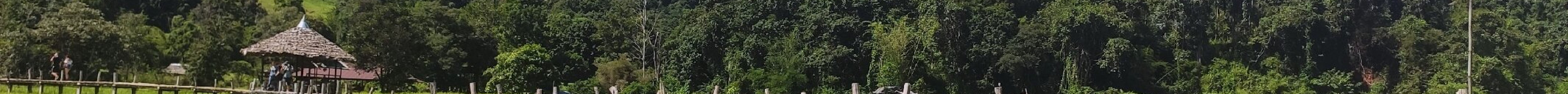 Kho Kuu So Bamboo Bridge旅游景点图片