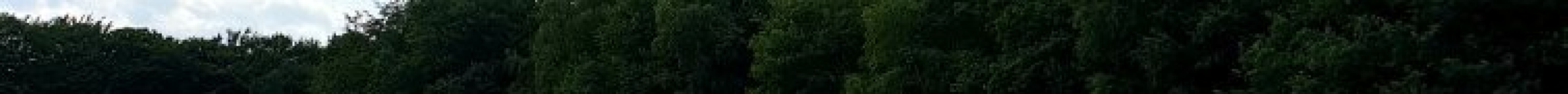 Veluwe Specialist Otterlo