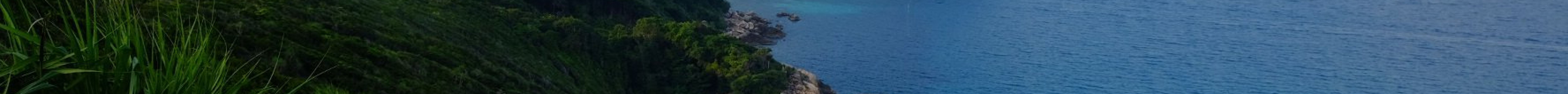 Pulau Perhentian Kincir Angin旅游景点图片