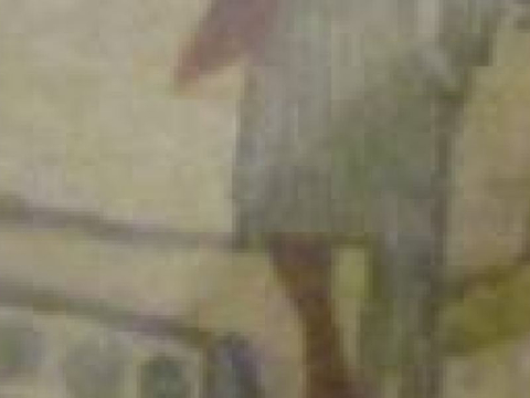Civico Museo Archeologico Sezioni Preistorica ed Egizia的图片