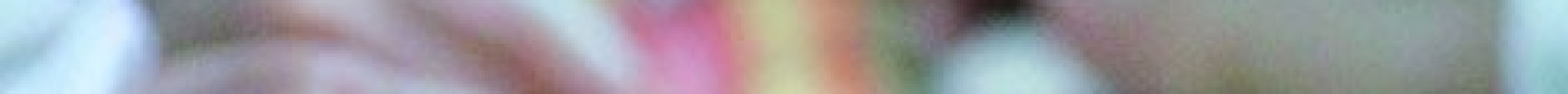 Odenwaelder Marzipankonditorei