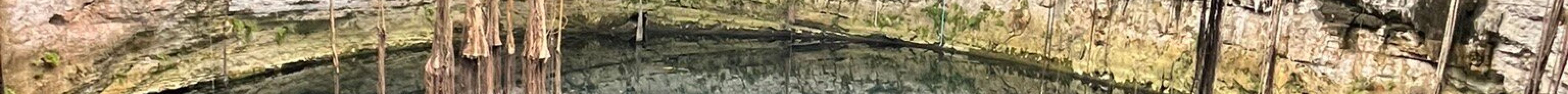 Cenote Secreto Maya旅游景点图片
