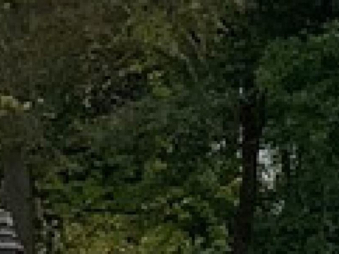 巴特洪堡旅游景点图片