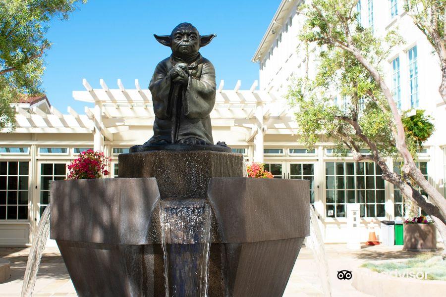 Yoda Fountain旅游景点图片