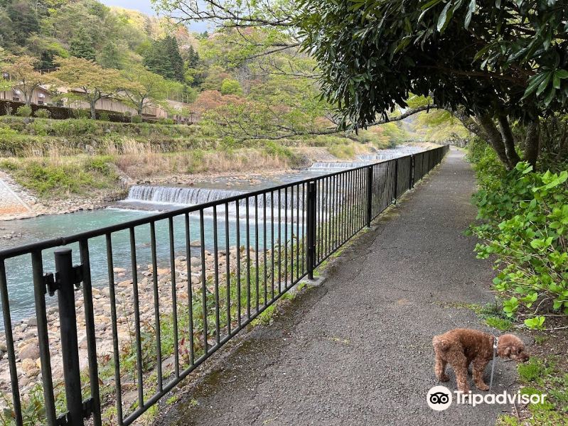 Miyaginohayakawa River Bank旅游景点图片