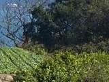 Kunisaki Peninsula Nature Park