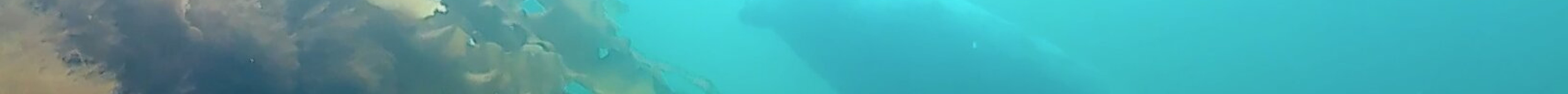 Club Nautique de Percé