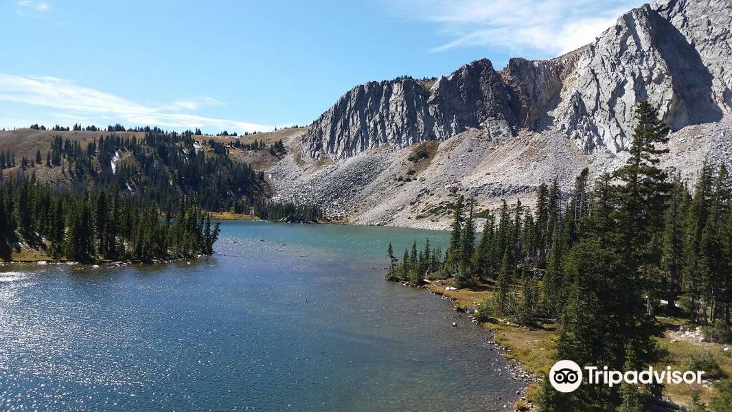 Medicine Bow National Forest旅游景点图片