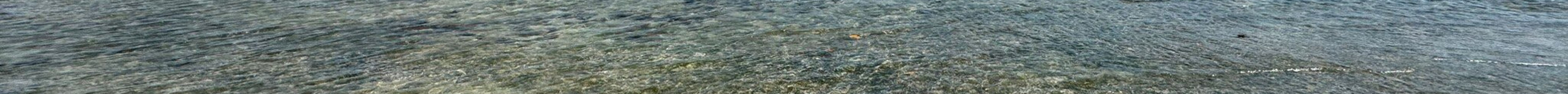 Gili Kedis