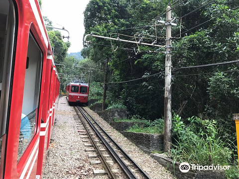 Trem do Corcovado的图片