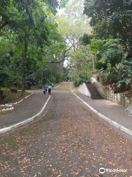 Parque das Hortênsias旅游景点图片