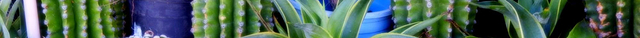 Sandhu Greenhouses & Nursery