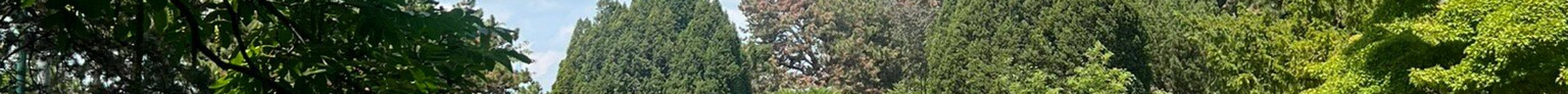 莫尔吉特岛旅游景点图片