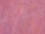 西圭亚公馆