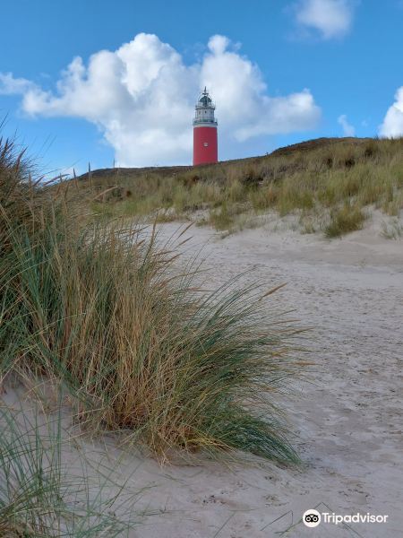 Lighthouse Texel旅游景点图片
