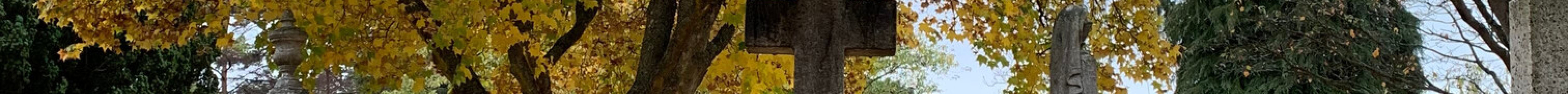 Ross Bay Cemetery旅游景点图片