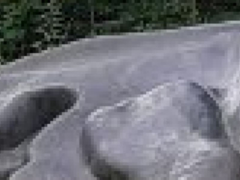 Jurajski Park Dinozaurow Muzeum Dziejow Ziemi