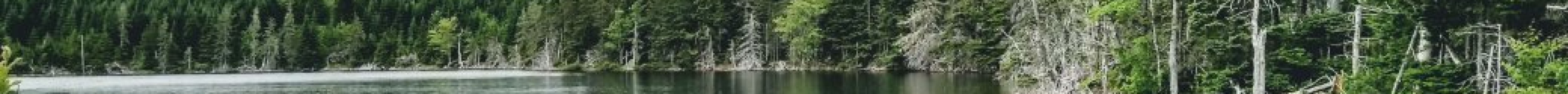 Boylston Provincial Park旅游景点图片