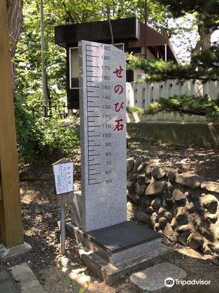 手稲神社旅游景点图片