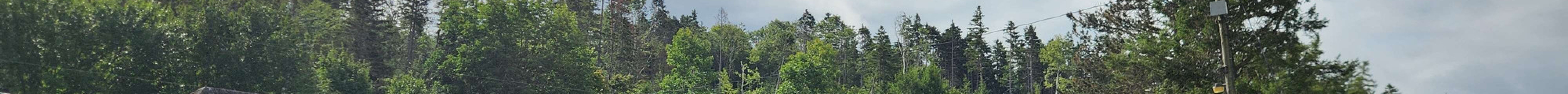 Victoria Park旅游景点图片