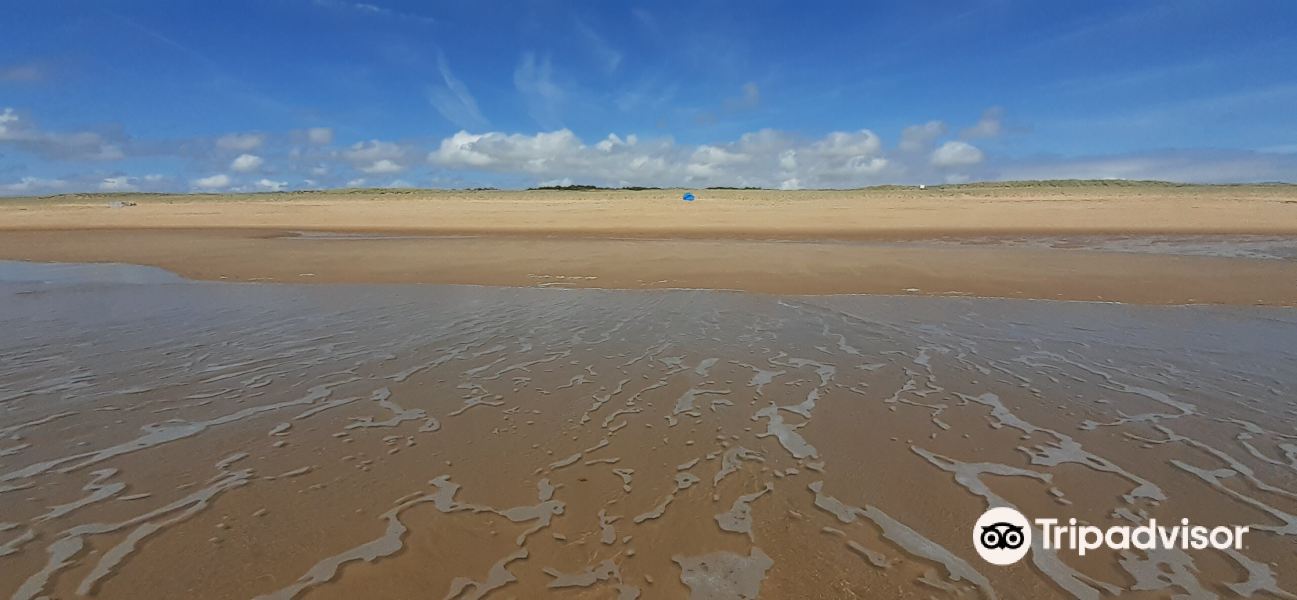 Plage de la Terrière旅游景点图片