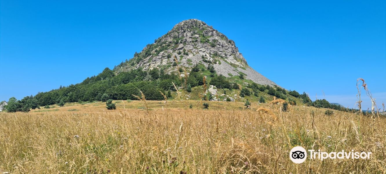 Mont Gerbier de Jonc旅游景点图片