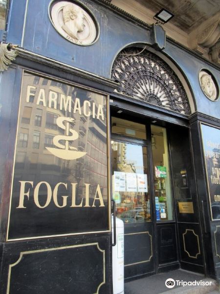 Storica Farmacia Foglia旅游景点图片