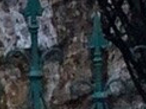 Grillparzerschlössl的图片