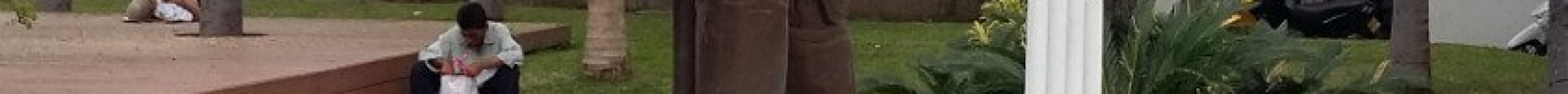 Parque de los Bomberos旅游景点图片